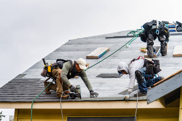 Professional Storm Damage Roof Repair technician working in Apex, NC